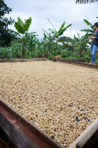 Colombia Victor Barrera